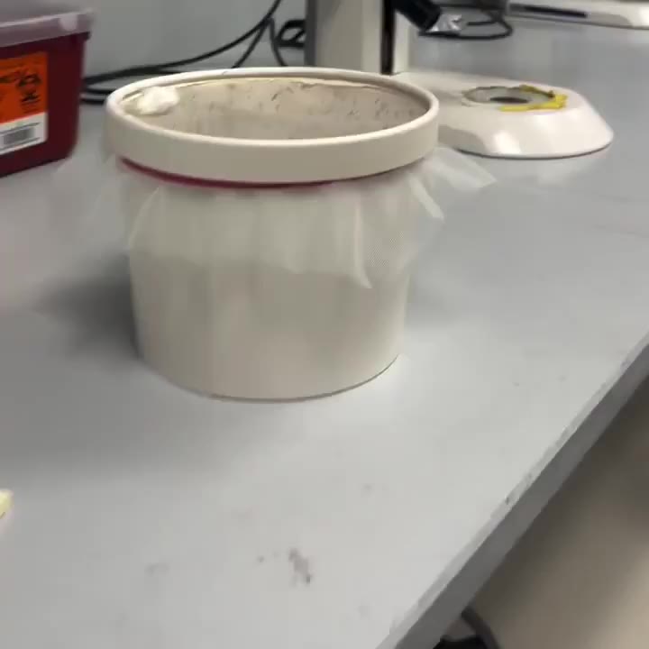 발정난 암컷을 유혹하는 손길.avi