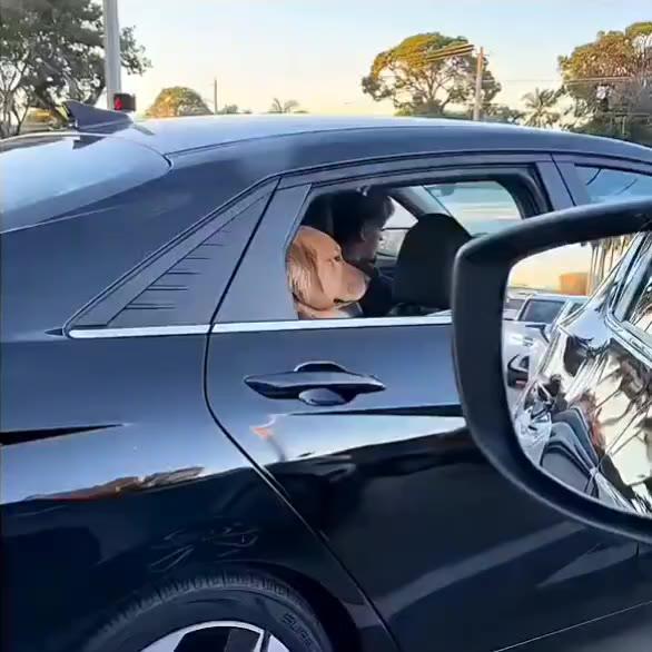 영화 속 한 장면 같은 골댕이.mp4