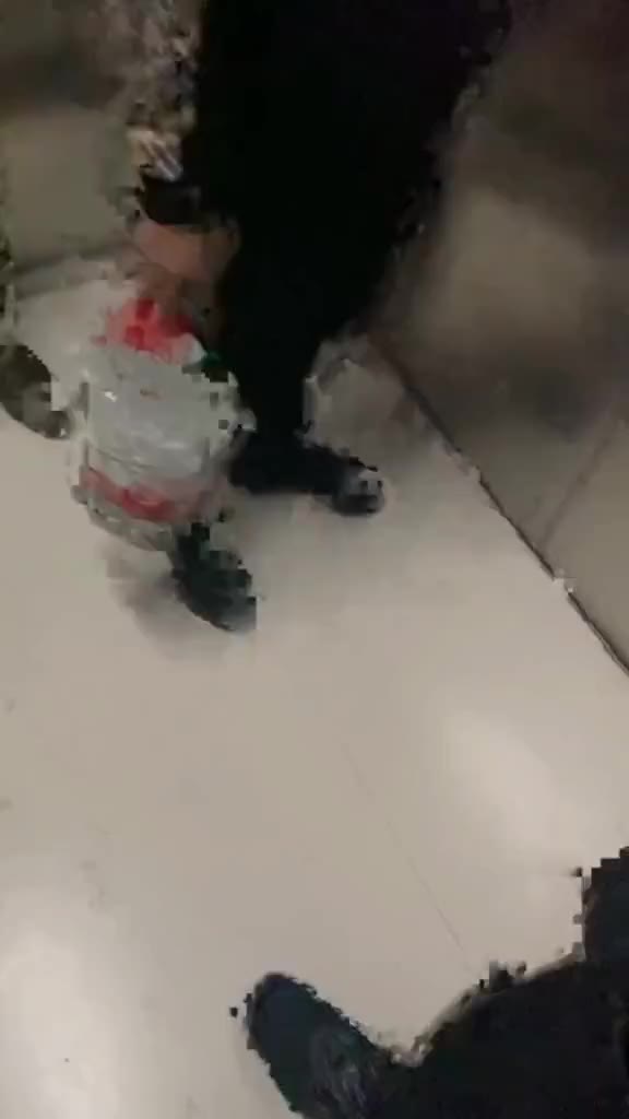 엘리베이터 탄 강아지.gif