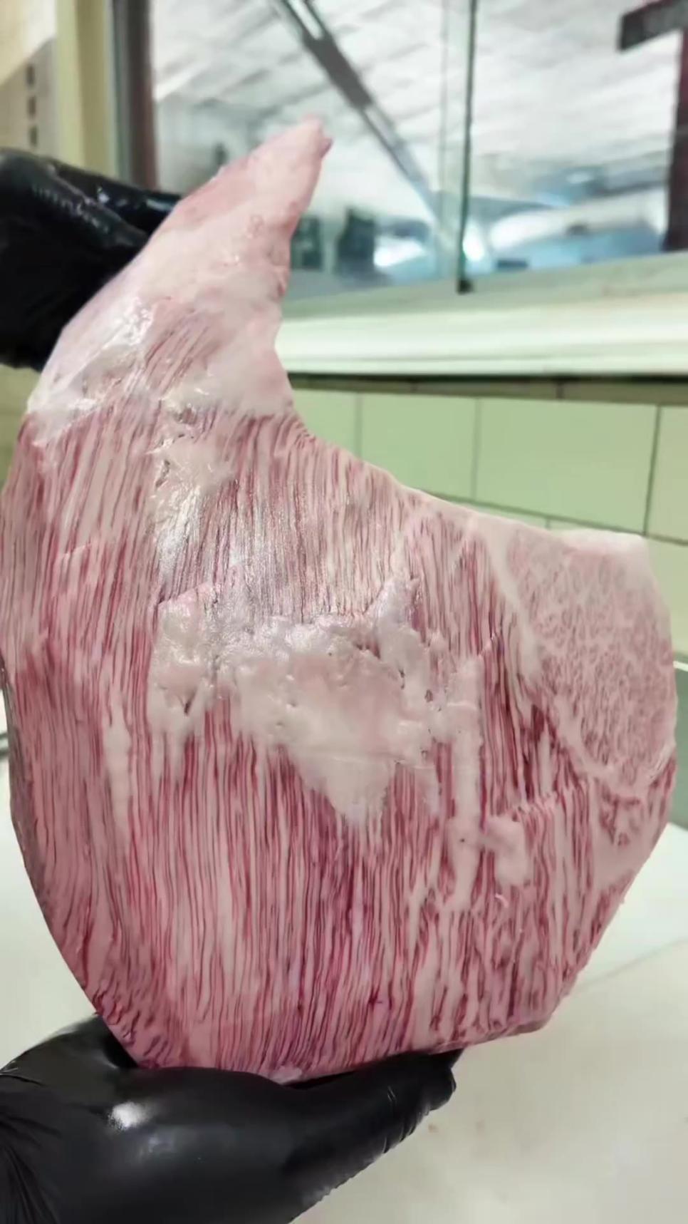 최고급 1티어 와규 고기 마블링