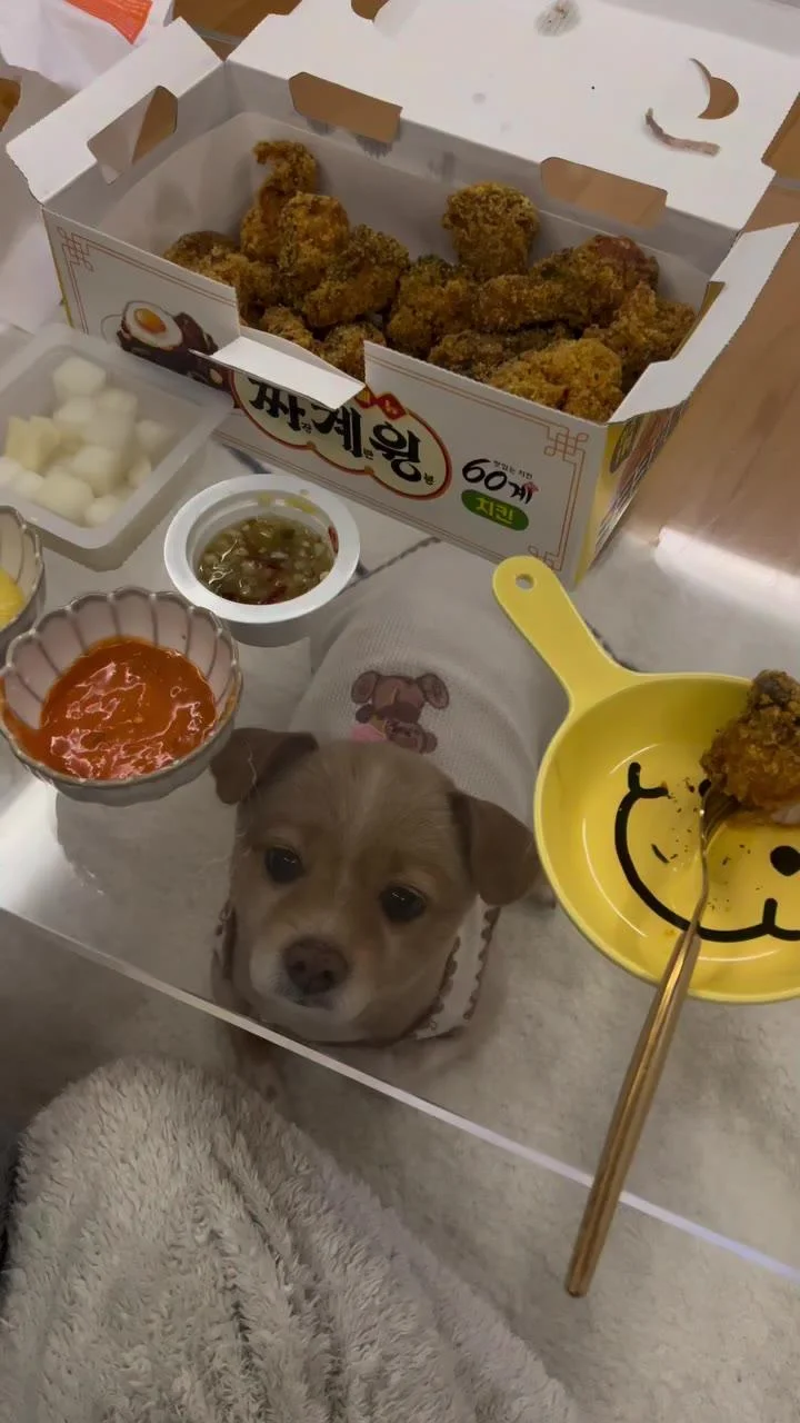 투명 유리 테이블의 위험성 ㄷㄷ