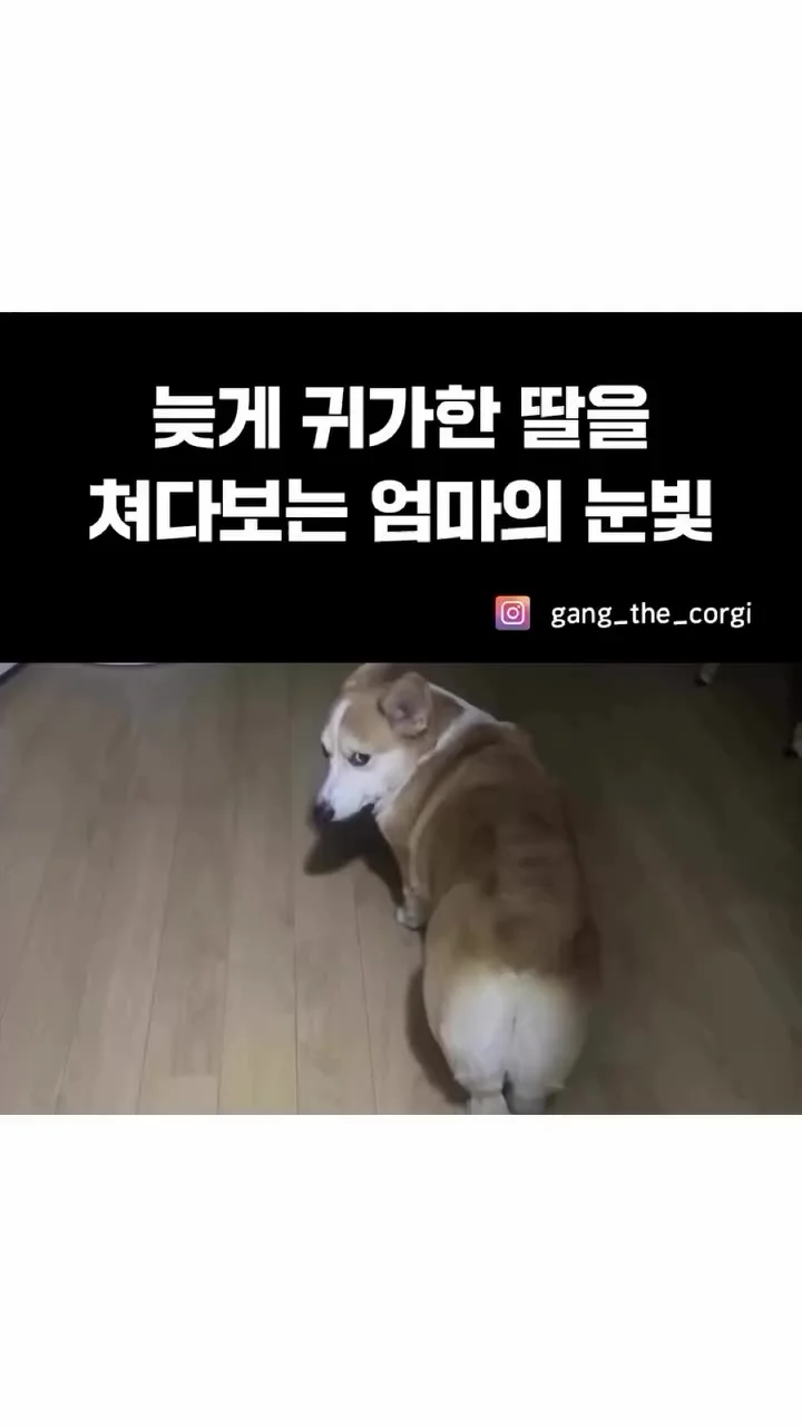 늦게 귀가한 딸을 쳐다보는 엄마의 눈빛